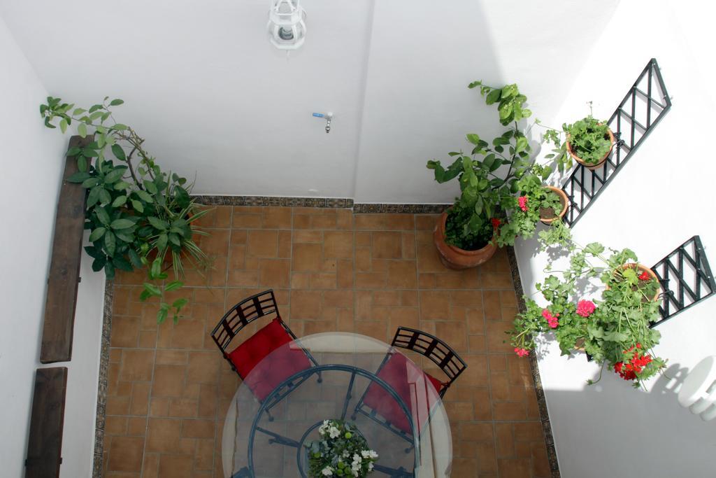 Apartamentos San Fernando 76 Córdoba Eksteriør bilde