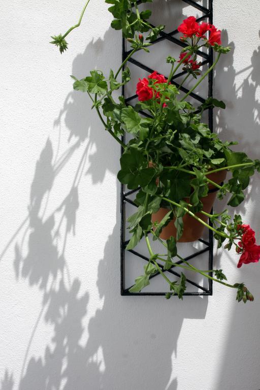 Apartamentos San Fernando 76 Córdoba Eksteriør bilde