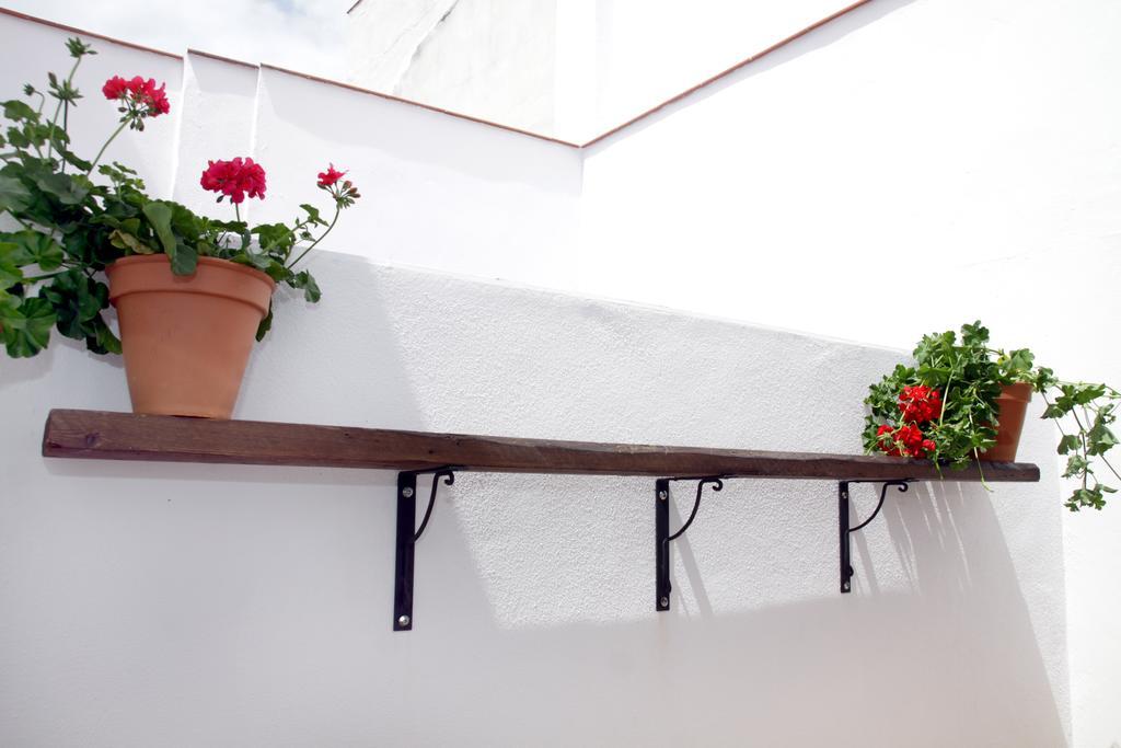Apartamentos San Fernando 76 Córdoba Eksteriør bilde
